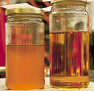 biodiesel-samples-post-filtration